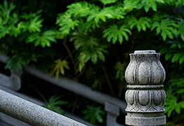 Amitabha Buddhas